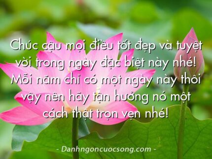 Chúc cậu mọi điều tốt đẹp và tuyệt vời trong ngày đặc biệt này nhé! Mỗi năm chỉ có một ngày này thôi vậy nên hãy tận hưởng nó một cách thật trọn vẹn nhé!