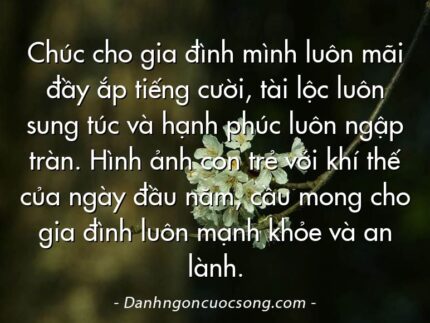 Chúc cho gia đình mình luôn mãi đầy ắp tiếng cười, tài lộc luôn sung túc và hạnh phúc luôn ngập tràn. Hình ảnh con trẻ với khí thế của ngày đầu năm, cầu mong cho gia đình luôn mạnh khỏe và an lành.