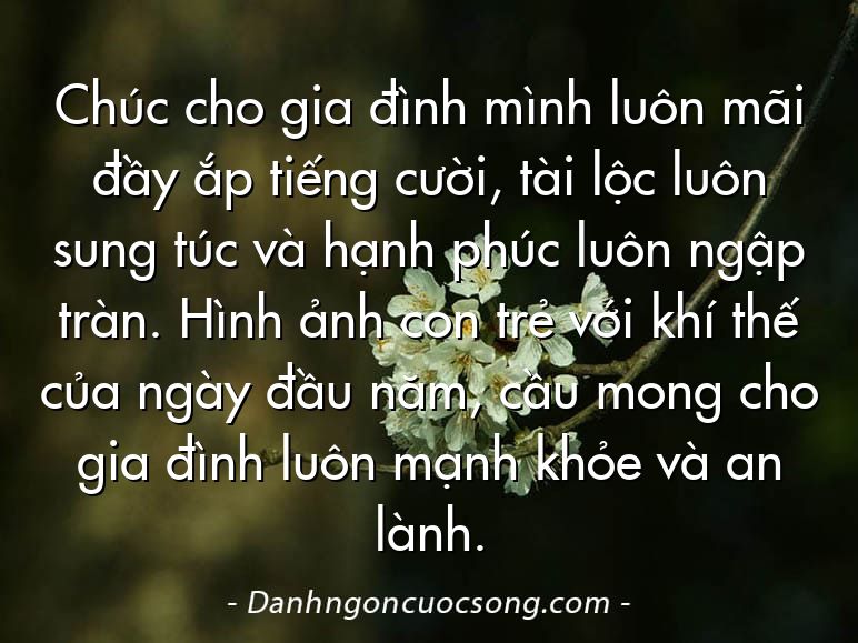 Chúc cho gia đình mình luôn mãi đầy ắp tiếng cười, tài lộc luôn sung túc và hạnh phúc luôn ngập tràn. Hình ảnh con trẻ với khí thế của ngày đầu năm, cầu mong cho gia đình luôn mạnh khỏe và an lành.