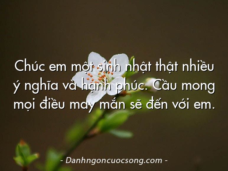 Chúc em một sinh nhật thật nhiều ý nghĩa và hạnh phúc. Cầu mong mọi điều may mắn sẽ đến với em.