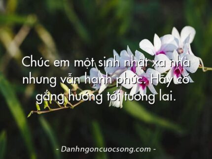 Chúc em một sinh nhật xa nhà nhưng vẫn hạnh phúc. Hãy cố gắng hướng tới tương lai.