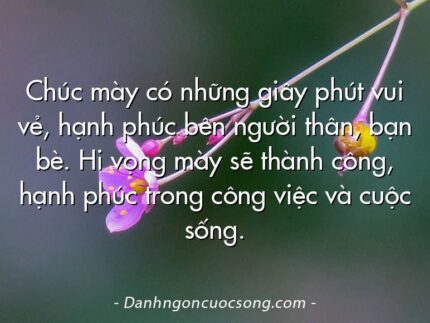 Chúc mày có những giây phút vui vẻ, hạnh phúc bên người thân, bạn bè. Hi vọng mày sẽ thành công, hạnh phúc trong công việc và cuộc sống.