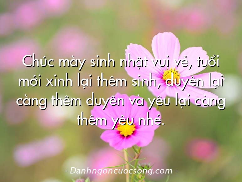 Chúc mày sinh nhật vui vẻ, tuổi mới xinh lại thêm sinh, duyên lại càng thêm duyên và yêu lại càng thêm yêu nhé.