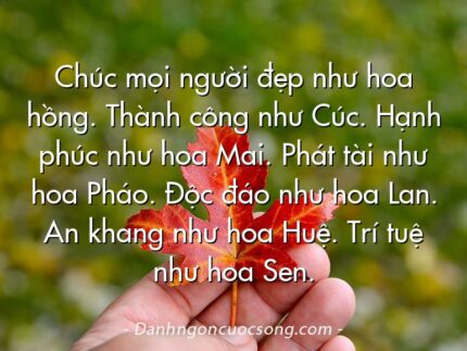 Chúc mọi người đẹp như hoa hồng. Thành công như Cúc. Hạnh phúc như hoa Mai. Phát tài như hoa Pháo. Độc đáo như hoa Lan. An khang như hoa Huệ. Trí tuệ như hoa Sen.