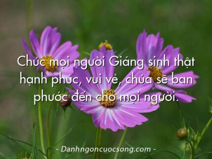 Chúc mọi người Giáng sinh thật hạnh phúc, vui vẻ, chúa sẽ ban phước đến cho mọi người.