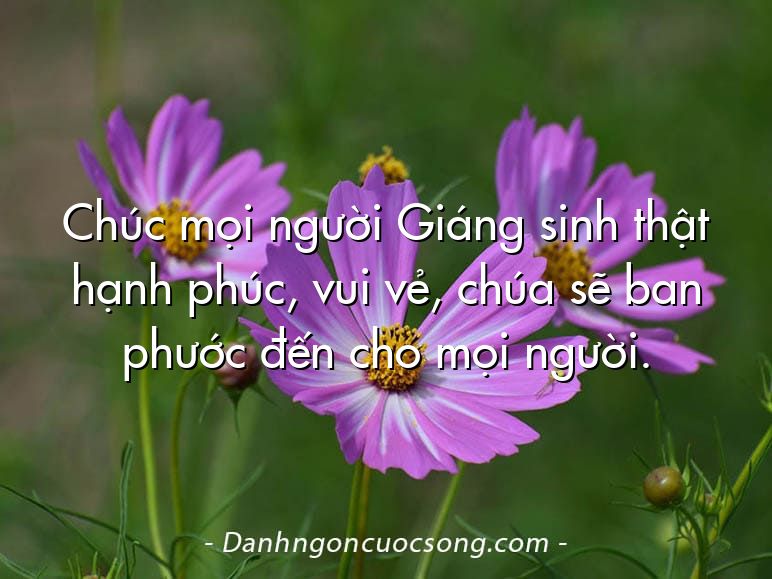 Chúc mọi người Giáng sinh thật hạnh phúc, vui vẻ, chúa sẽ ban phước đến cho mọi người.