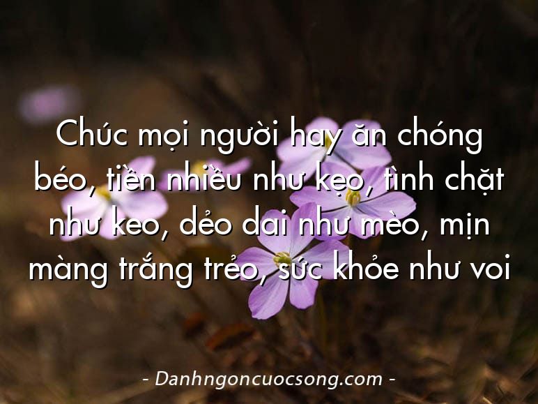 Chúc mọi người hay ăn chóng béo, tiền nhiều như kẹo, tình chặt như keo, dẻo dai như mèo, mịn màng trắng trẻo, sức khỏe như voi