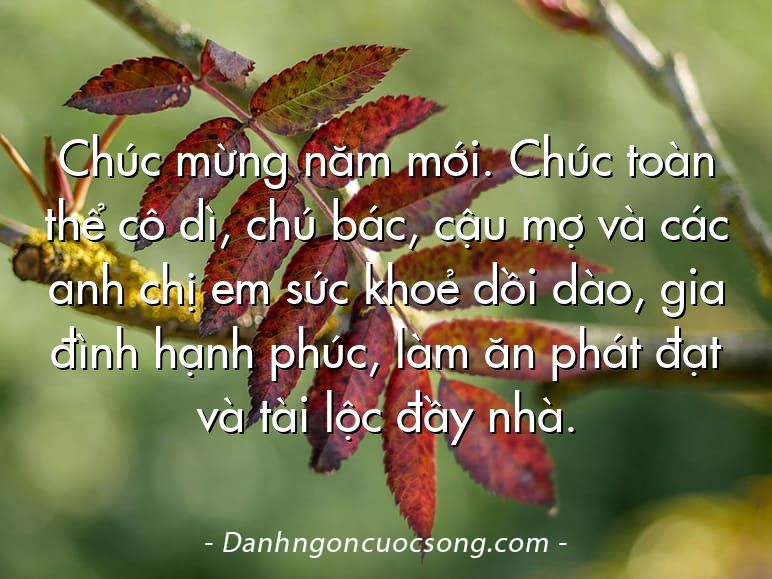 Chúc mừng năm mới. Chúc toàn thể cô dì, chú bác, cậu mợ và các anh chị em sức khoẻ dồi dào, gia đình hạnh phúc, làm ăn phát đạt và tài lộc đầy nhà.