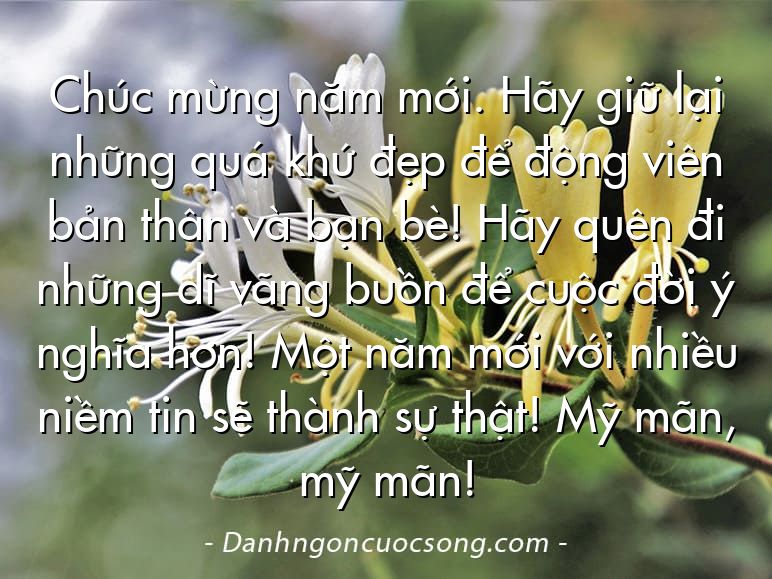 Chúc mừng năm mới. Hãy giữ lại những quá khứ đẹp để động viên bản thân và bạn bè! Hãy quên đi những dĩ vãng buồn để cuộc đời ý nghĩa hơn! Một năm mới với nhiều niềm tin sẽ thành sự thật! Mỹ mãn, mỹ mãn!