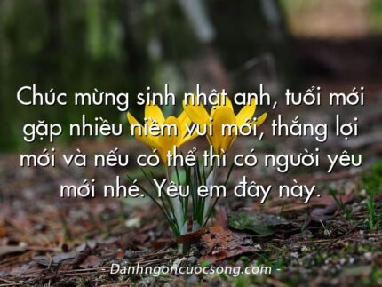Chúc mừng sinh nhật anh, tuổi mới gặp nhiều niềm vui mới, thắng lợi mới và nếu có thể thì có người yêu mới nhé. Yêu em đây này.