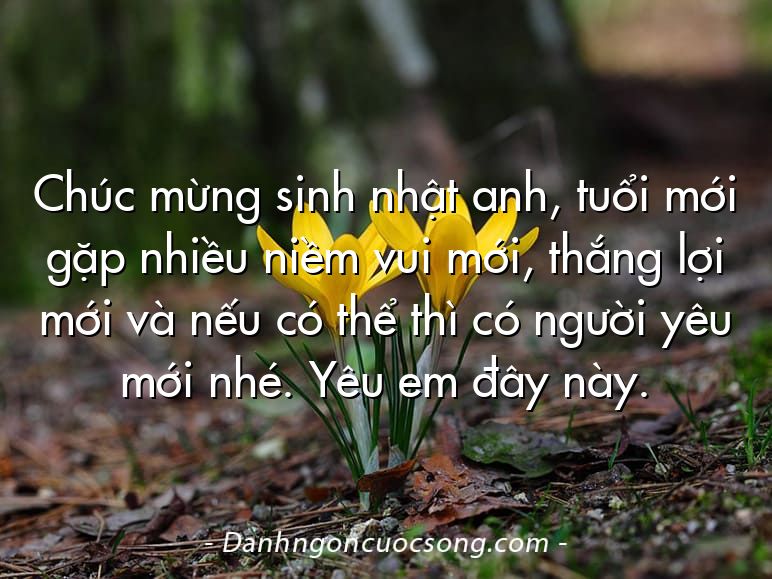 Chúc mừng sinh nhật anh, tuổi mới gặp nhiều niềm vui mới, thắng lợi mới và nếu có thể thì có người yêu mới nhé. Yêu em đây này.