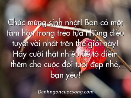 Chúc mừng sinh nhật! Bạn có một tâm hồn trong trẻo tựa những điều tuyệt vời nhất trên thế giới này! Hãy cười thật nhiều để tô điểm thêm cho cuộc đời tươi đẹp nhé, bạn yêu!