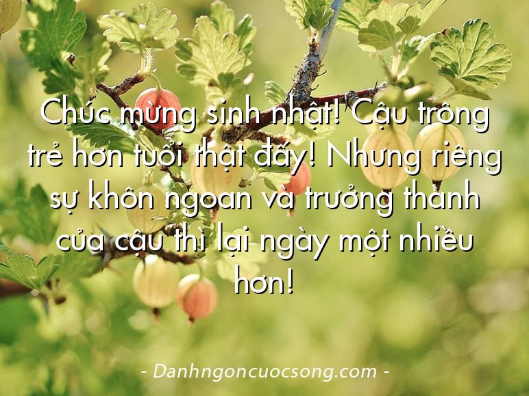 Chúc mừng sinh nhật! Cậu trông trẻ hơn tuổi thật đấy! Nhưng riêng sự khôn ngoan và trưởng thành của cậu thì lại ngày một nhiều hơn!