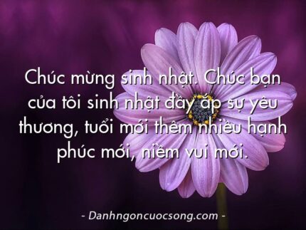 Chúc mừng sinh nhật. Chúc bạn của tôi sinh nhật đầy ắp sự yêu thương, tuổi mới thêm nhiều hạnh phúc mới, niềm vui mới.
