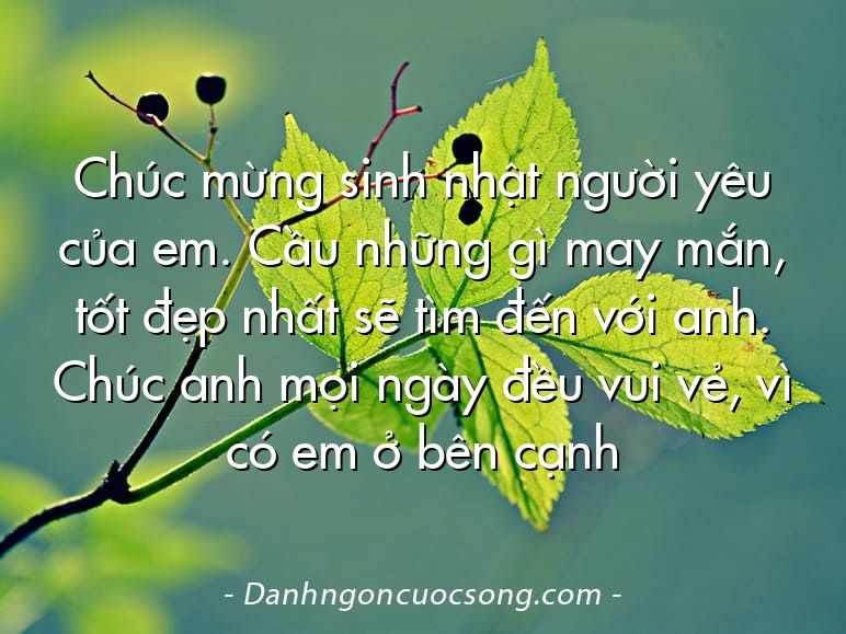 Chúc mừng sinh nhật người yêu của em. Cầu những gì may mắn, tốt đẹp nhất sẽ tìm đến với anh. Chúc anh mọi ngày đều vui vẻ, vì có em ở bên cạnh