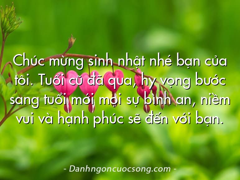 Chúc mừng sinh nhật nhé bạn của tôi. Tuổi cũ đã qua, hy vọng bước sang tuổi mới mọi sự bình an, niềm vui và hạnh phúc sẽ đến với bạn.