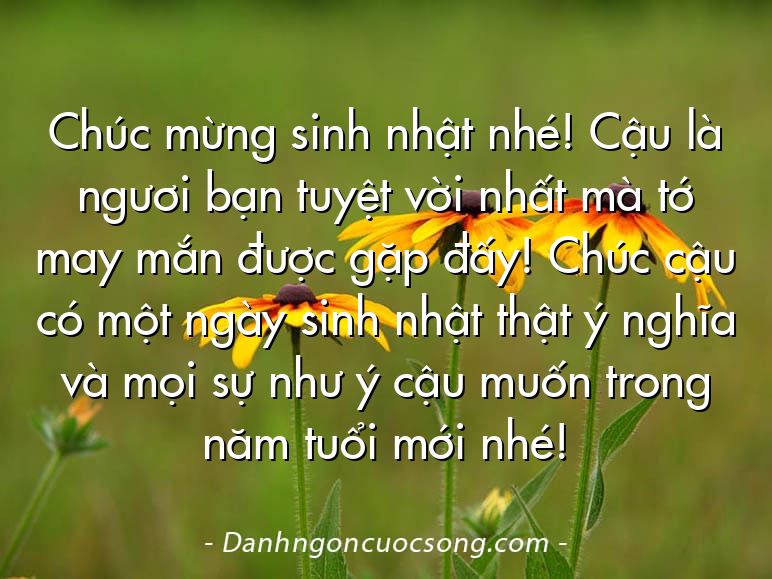 Chúc mừng sinh nhật nhé! Cậu là ngươi bạn tuyệt vời nhất mà tớ may mắn được gặp đấy! Chúc cậu có một ngày sinh nhật thật ý nghĩa và mọi sự như ý cậu muốn trong năm tuổi mới nhé!
