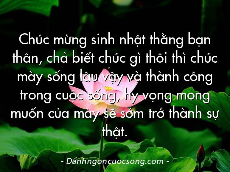 Chúc mừng sinh nhật thằng bạn thân, chả biết chúc gì thôi thì chúc mày sống lâu vậy và thành công trong cuộc sống, hy vọng mong muốn của mày sẽ sớm trở thành sự thật.