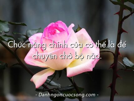 Chức năng chính của cơ thể là để chuyên chở bộ não.