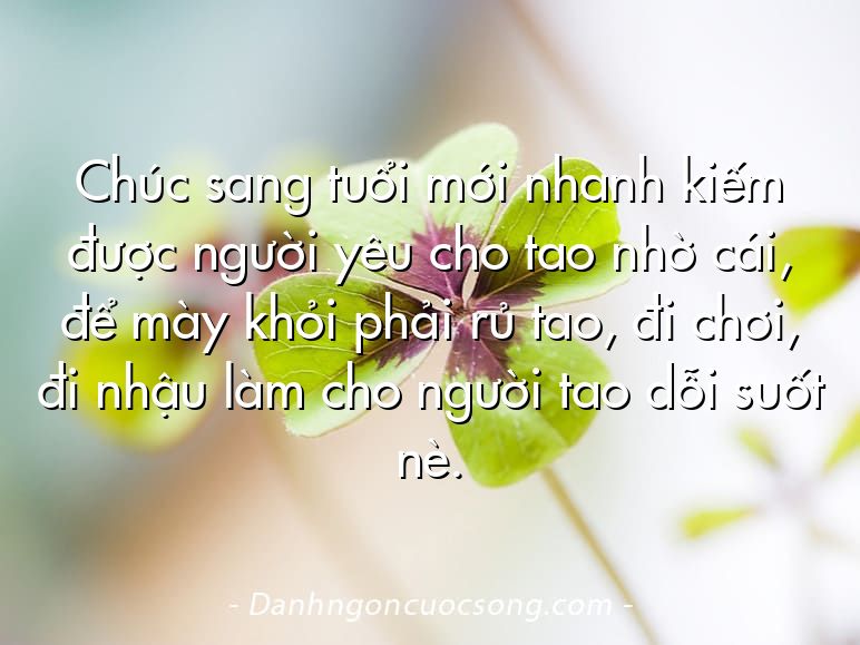 Chúc sang tuổi mới nhanh kiếm được người yêu cho tao nhờ cái, để mày khỏi phải rủ tao, đi chơi, đi nhậu làm cho người tao dỗi suốt nè.