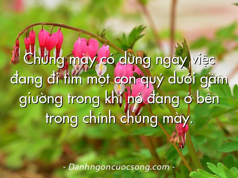 Chúng mày có dừng ngay việc đang đi tìm một con quỷ dưới gầm giường trong khi nó đang ở bên trong chính chúng mày.