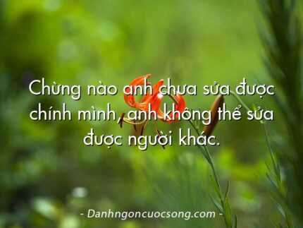 Chừng nào anh chưa sửa được chính mình, anh không thể sửa được người khác.