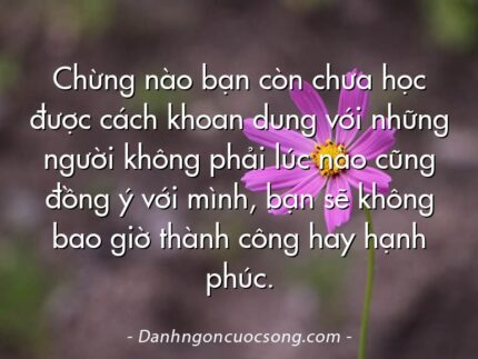 Chừng nào bạn còn chưa học được cách khoan dung với những người không phải lúc nào cũng đồng ý với mình, bạn sẽ không bao giờ thành công hay hạnh phúc.