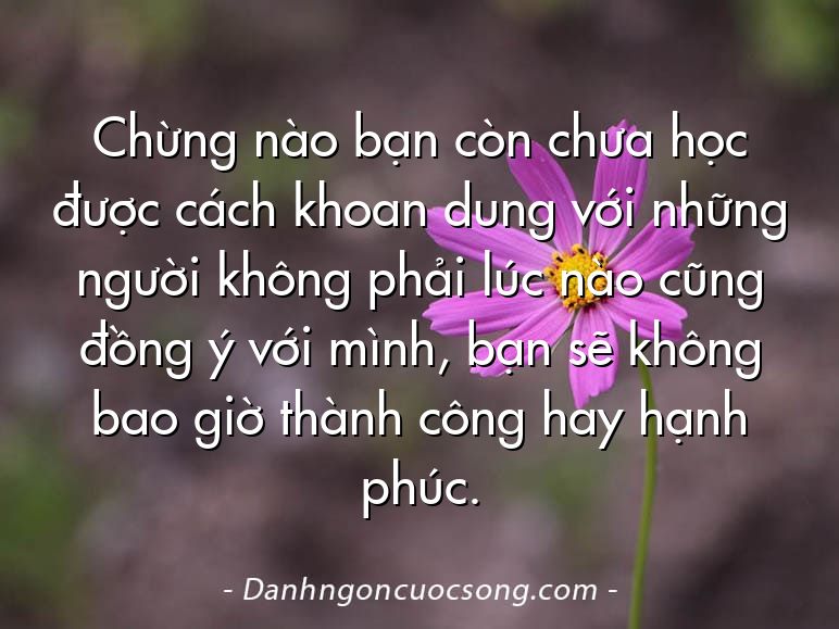 Chừng nào bạn còn chưa học được cách khoan dung với những người không phải lúc nào cũng đồng ý với mình, bạn sẽ không bao giờ thành công hay hạnh phúc.