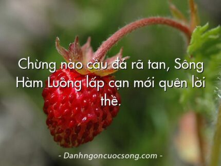 Chừng nào cầu đá rã tan, Sông Hàm Luông lấp cạn mới quên lời thề.