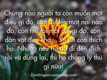 Chừng nào người ta còn muốn một điều gì đó, còn đi đến môt nơi nào đó, còn tìm tòi một cái gì đó, còn dằn vặt đau khổ… thì tôi còn thích họ. Nhưng nếu họ đã đi đến đích rồi và dừng lại, thì họ chảng lý thú gì nữa!