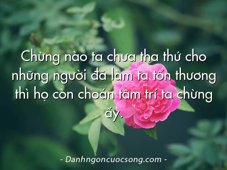 Chừng nào ta chưa tha thứ cho những người đã làm ta tổn thương thì họ còn choán tâm trí ta chừng ấy.