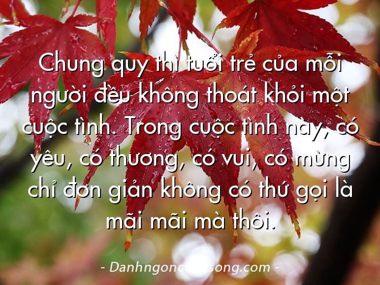 Chung quy thì tuổi trẻ của mỗi người đều không thoát khỏi một cuộc tình. Trong cuộc tình này, có yêu, có thương, có vui, có mừng chỉ đơn giản không có thứ gọi là mãi mãi mà thôi.