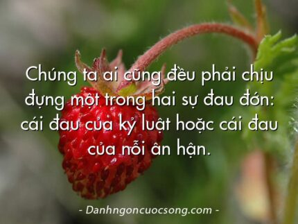 Chúng ta ai cũng đều phải chịu đựng một trong hai sự đau đớn: cái đau của kỷ luật hoặc cái đau của nỗi ân hận.