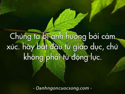 Chúng ta bị ảnh hưởng bởi cảm xúc. hãy bắt đầu từ giáo dục, chứ không phải từ động lực.