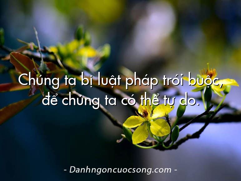 Chúng ta bị luật pháp trói buộc, để chúng ta có thể tự do.