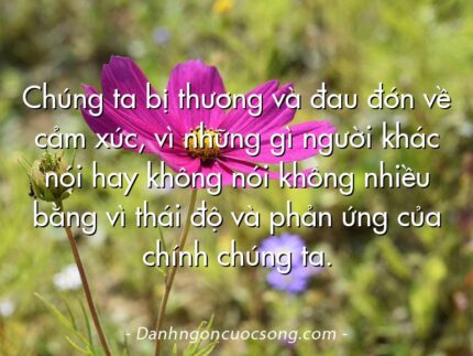Chúng ta bị thương và đau đớn về cảm xúc, vì những gì người khác nói hay không nói không nhiều bằng vì thái độ và phản ứng của chính chúng ta.