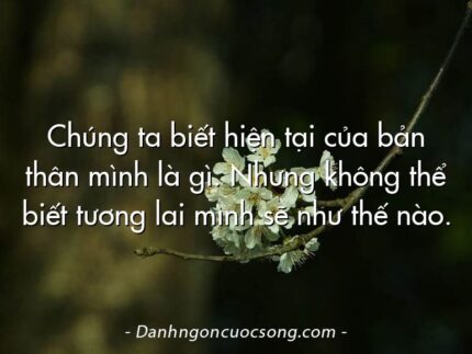 Chúng ta biết hiện tại của bản thân mình là gì. Nhưng không thể biết tương lai mình sẽ như thế nào.