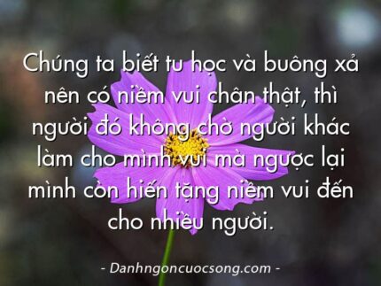 Chúng ta biết tu học và buông xả nên có niềm vui chân thật, thì người đó không chờ người khác làm cho mình vui mà ngược lại mình còn hiến tặng niềm vui đến cho nhiều người.