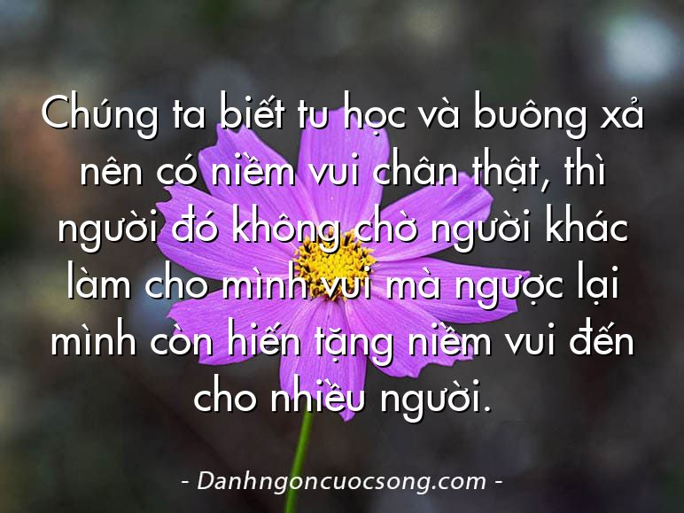 Chúng ta biết tu học và buông xả nên có niềm vui chân thật, thì người đó không chờ người khác làm cho mình vui mà ngược lại mình còn hiến tặng niềm vui đến cho nhiều người.