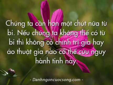 Chúng ta cần hơn một chút nữa từ bi. Nếu chúng ta không thể có từ bi thì không có chính trị gia hay ảo thuật gia nào có thể cứu nguy hành tinh này.
