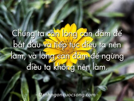 Chúng ta cần lòng can đảm để bắt đầu và tiếp tục điều ta nên làm, và lòng can đảm để ngừng điều ta không nên làm.