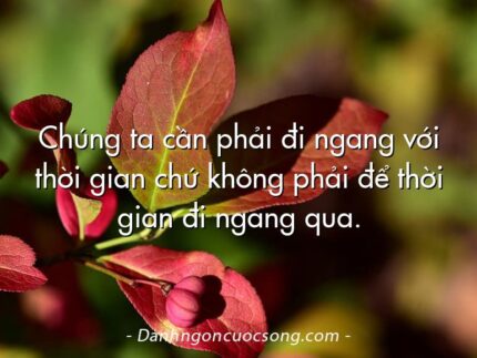Chúng ta cần phải đi ngang với thời gian chứ không phải để thời gian đi ngang qua.