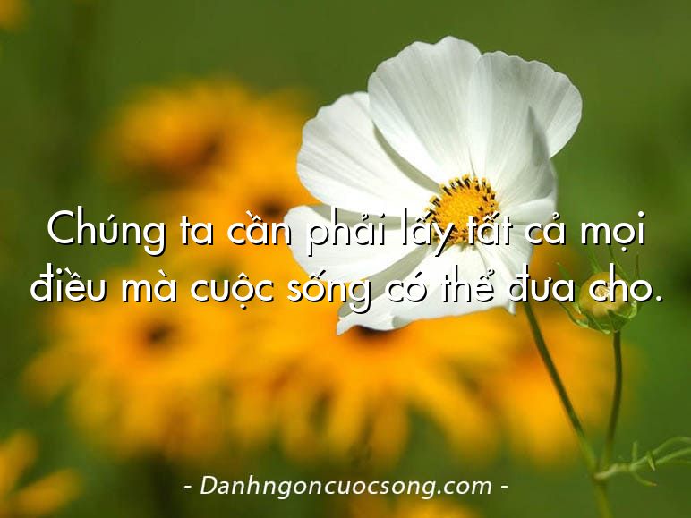 Chúng ta cần phải lấy tất cả mọi điều mà cuộc sống có thể đưa cho.
