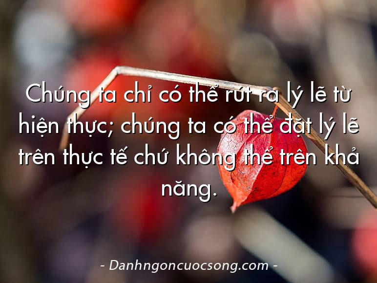 Chúng ta chỉ có thể rút ra lý lẽ từ hiện thực; chúng ta có thể đặt lý lẽ trên thực tế chứ không thể trên khả năng.