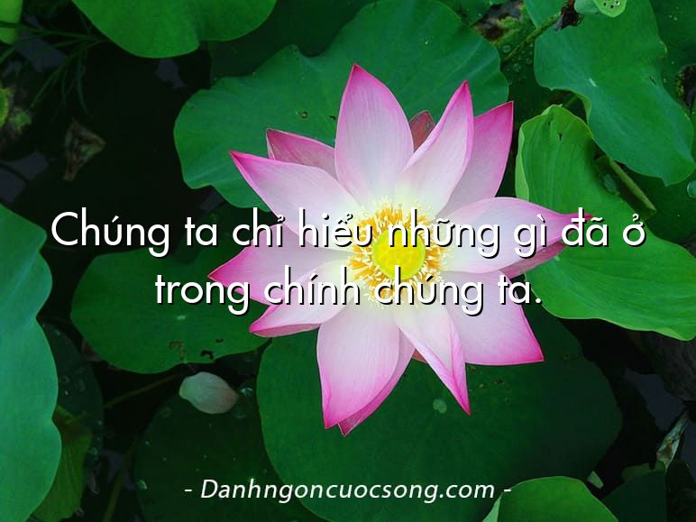 Chúng ta chỉ hiểu những gì đã ở trong chính chúng ta.