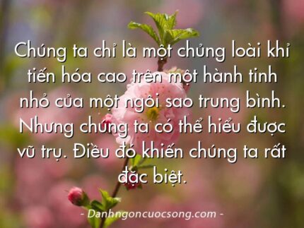 Chúng ta chỉ là một chủng loài khỉ tiến hóa cao trên một hành tinh nhỏ của một ngôi sao trung bình. Nhưng chúng ta có thể hiểu được vũ trụ. Điều đó khiến chúng ta rất đặc biệt.