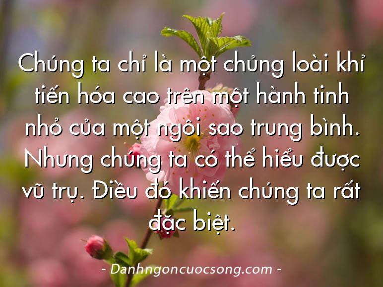 Chúng ta chỉ là một chủng loài khỉ tiến hóa cao trên một hành tinh nhỏ của một ngôi sao trung bình. Nhưng chúng ta có thể hiểu được vũ trụ. Điều đó khiến chúng ta rất đặc biệt.