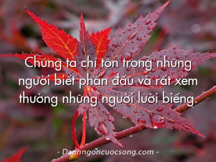 Chúng ta chỉ tôn trọng những người biết phấn đấu và rất xem thường những người lười biếng.