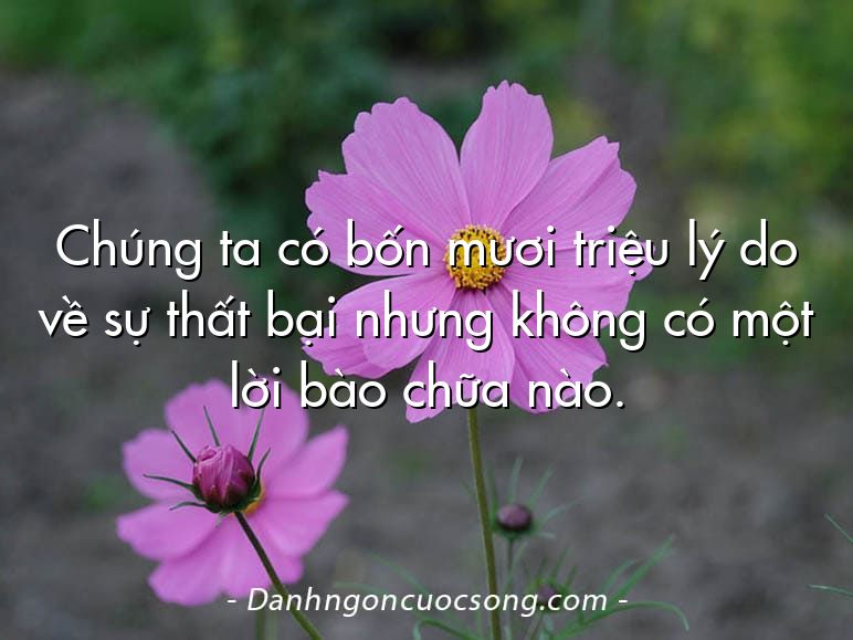 Chúng ta có bốn mươi triệu lý do về sự thất bại nhưng không có một lời bào chữa nào.