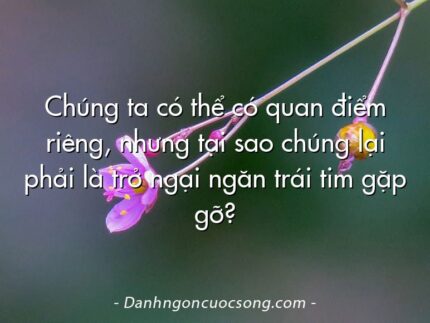 Chúng ta có thể có quan điểm riêng, nhưng tại sao chúng lại phải là trở ngại ngăn trái tim gặp gỡ?